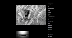 Desktop Screenshot of billemory.com